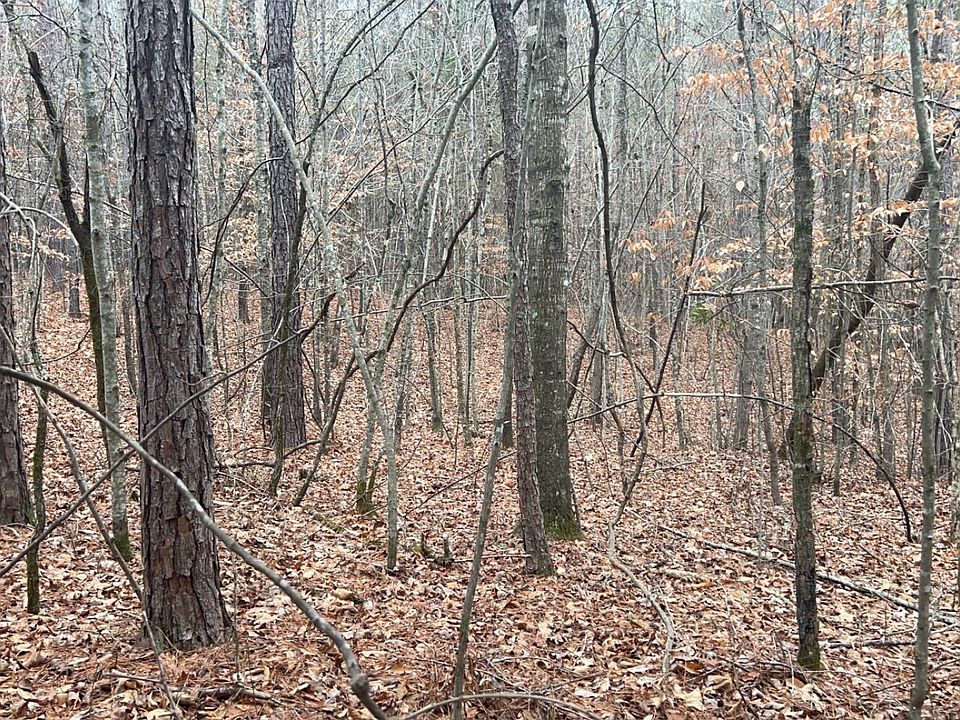 2nd image of 12.4 / County Rd Lot 823-3