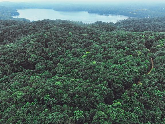 3rd image of 260 Lake Overlook Dr