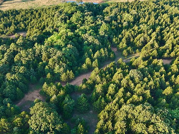 Dji Fly 20260617 070230 0501 1781712263057 Photo