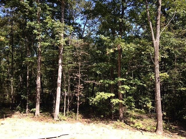 2nd image of 4790 Signal Forest Dr #85