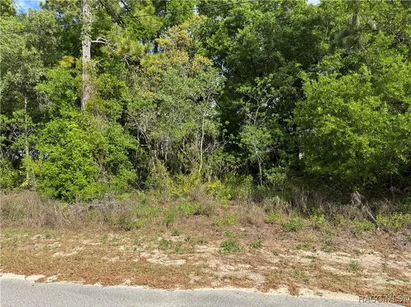 6605 W Gannet Pl, Crystal River, FL 34429