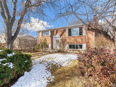 11953 Quam Drive, Northglenn, CO, 80233