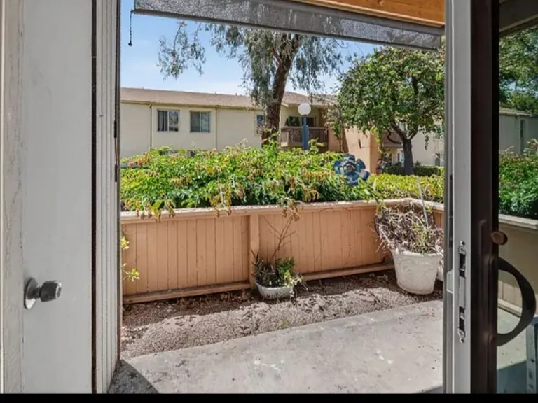 Sunny, enclosed back patio, perfect for container gardening and relaxing in the afternoon sun