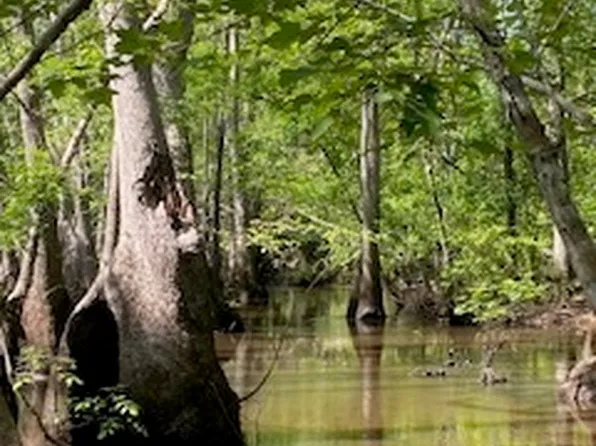 0 Cow Ford Bridge Rd, Kite, GA 31049