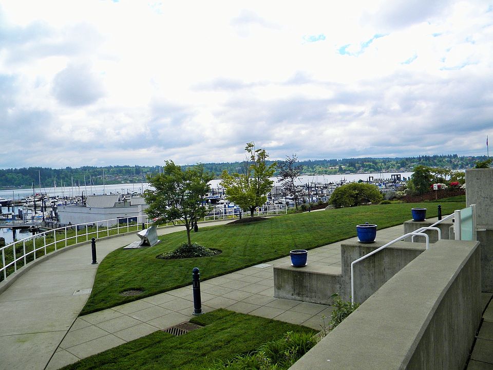 view from patio