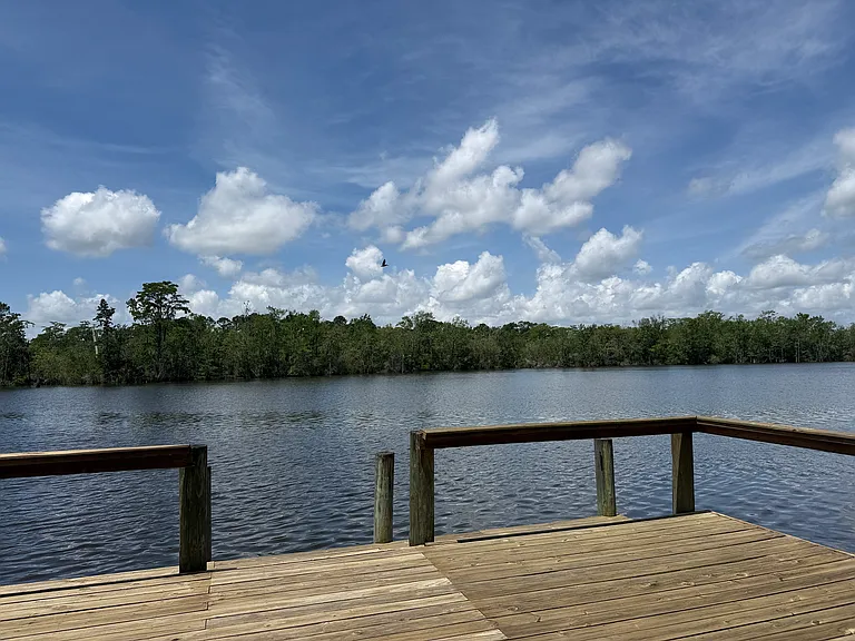 3512 Shadowwood Ct — Photo 49
