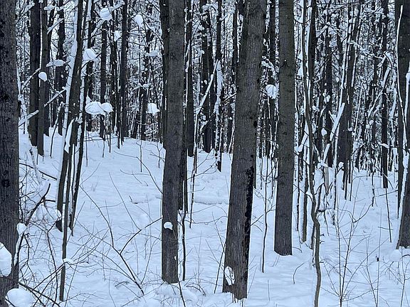 3rd image of 11995 Hudson Bay Dr