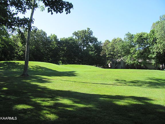 2nd image of 113 Forest Hill Dr