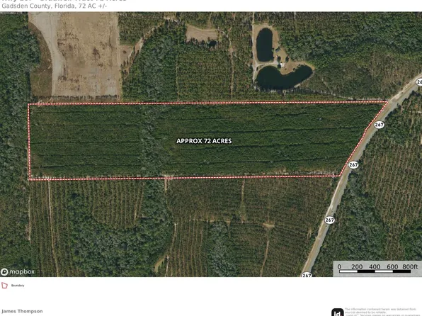 Pat Thomas Pkwy, Quincy, FL 32351