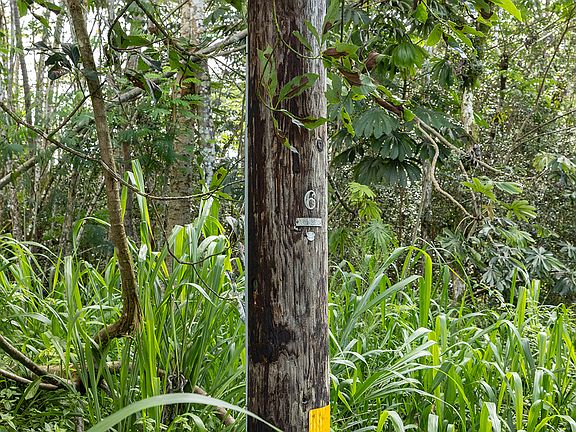 4th image of Pahoa Rd Lot 665