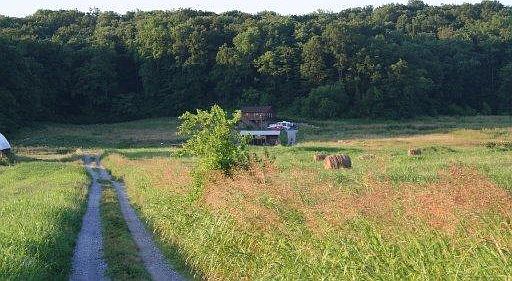1st image of 3635 Louisville Rd