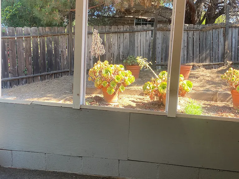 Covered patio area (reach via sliding glass doors from the main living are) overlooking the studio's private backyard space.