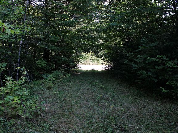 2nd image of M7 L1-15 Pine Bluff Road