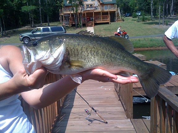 Sample of what you can catch