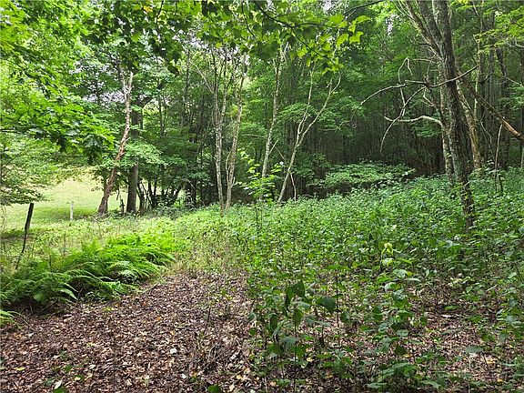 3rd image of 701 Pigeon Roost Road