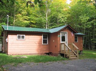 721 Hollywood Rd, Old Forge, NY 13420