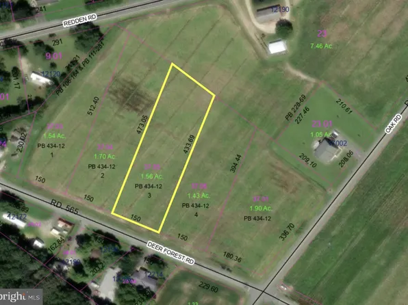 LOT 3 Deer Forest Rd, Bridgeville, DE 19933
