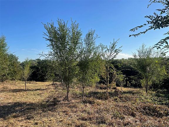 4th image of 12416 Thelmas Way #2