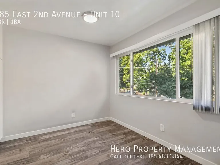 585 E 2nd Ave #10 — Photo 7