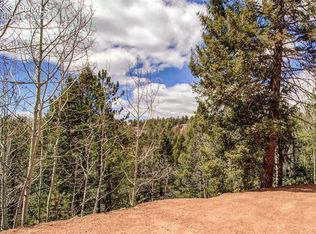 221 Valley Rd, Divide, CO 80814