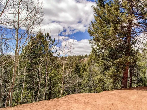 221 Valley Rd, Divide, CO 80814