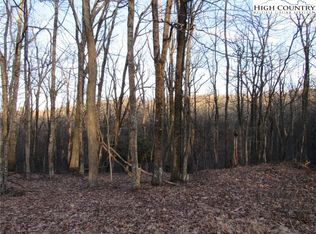 24 Deer Park Ln, Sparta, NC 28675