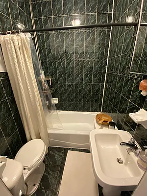 Rented by J Misrahi Realty Corp | media 11