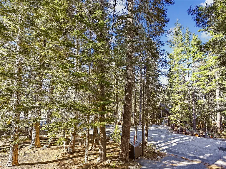 325 Snowbird Loop — Photo 40