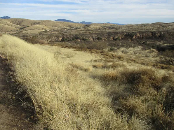 N Aloha Loop #43, Nogales, AZ 85621