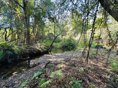 1652 N C Hill Road, Avon Park, FL, 33825