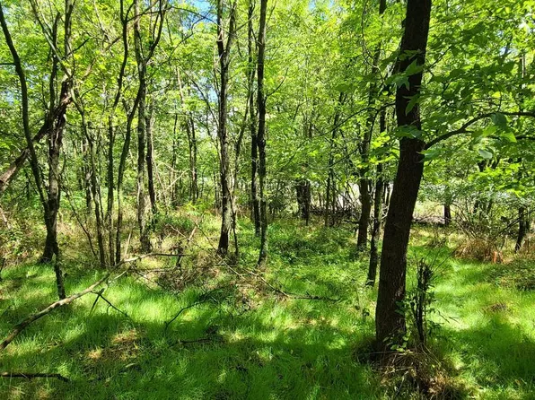 209 Mineral St, Middletown, VA 22645