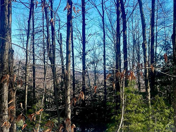 5th image of 0 Tower Mountain Road