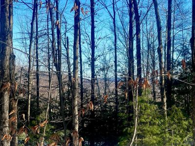 0 Tower Mountain Road, Jewett, NY, 12444