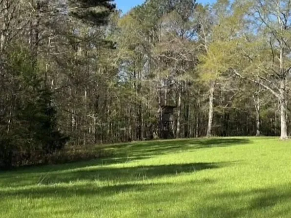 Route 2 #1, Eclectic, AL 36024