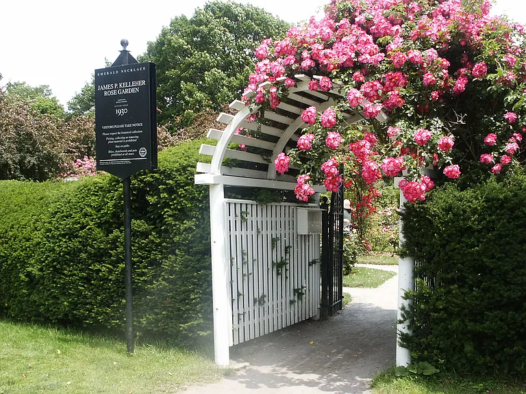 63 Park Dr #1A — Photo 23