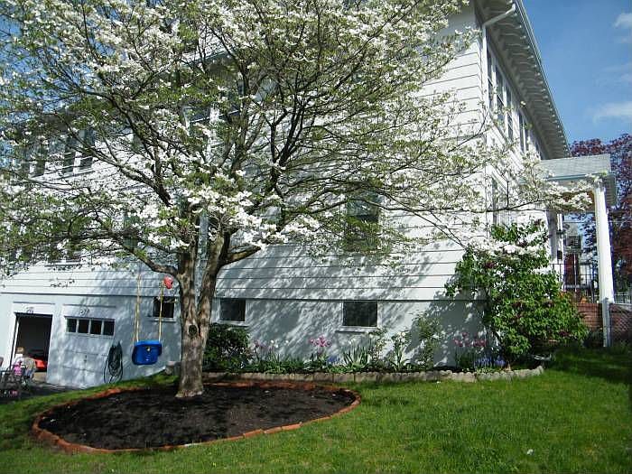 Landscaped yard