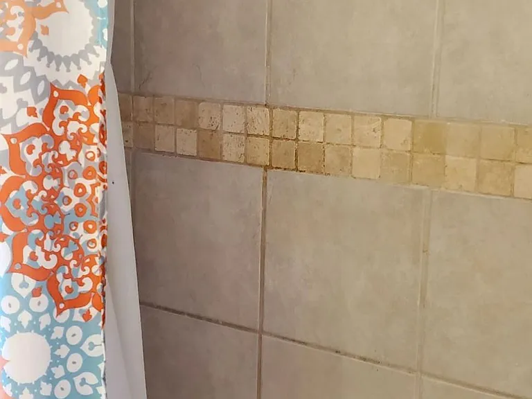 Main Bath Shower