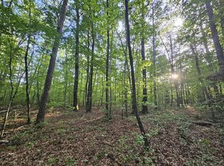 3 Savage Highland Dr UNIT SW1E, Coalmont, TN 37313