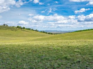 635 Hereford Dr, Hartsel, CO 80449