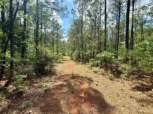 130 Doyston Ln, Simsboro, LA 71275