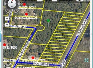 35163 Citrus St, Webster, FL 33597