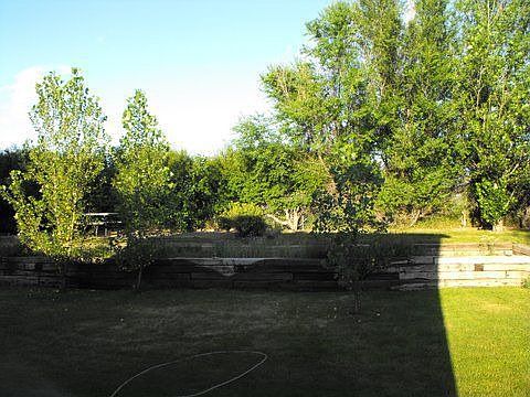 Mature Trees and Shrubs