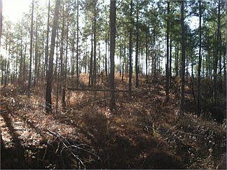 2nd image of 3385 Hwy 83 S