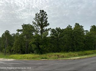 LOT 1 Penn State Rd, Brooksville, FL 34614
