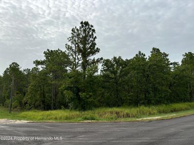 LOT 1 Penn State Rd, Brooksville, FL, 34614