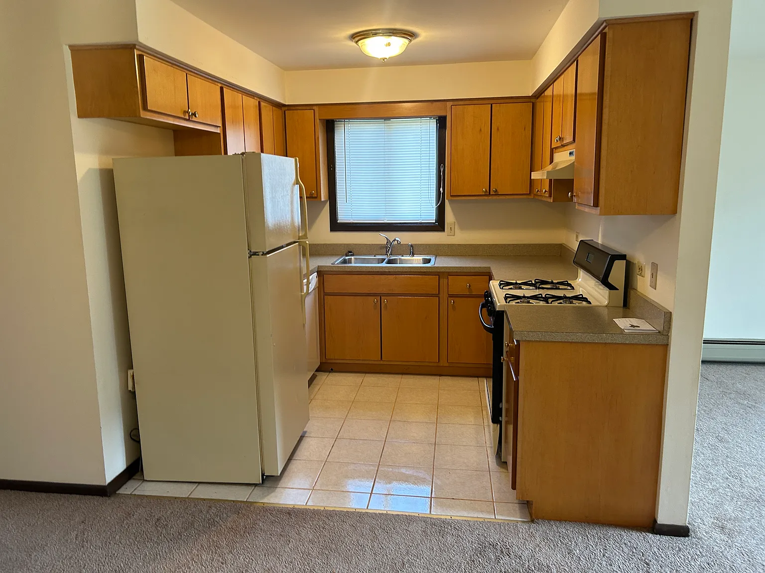 Lake Dr, Oak Forest — Photo 1