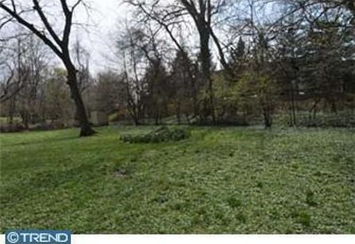 Rear Yard