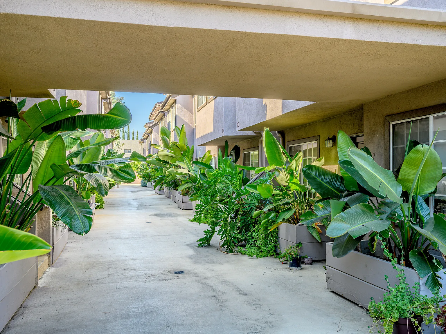 1 bed, 610 sqft, $2,200 — Photo 4