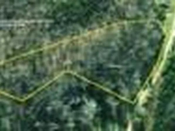 0 Rollins Ln #199, Resaca, GA 30735