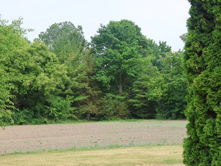 Mott Rd — Photo 10